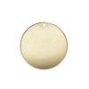 19.0mm Round Disc 1.2mm Hole (0.5mm Thick) - 5개