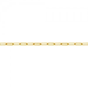 2505 Flat Cable Chain (2.5mm) GP - 1.5미터