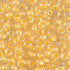 시드비즈 4mm #202번 - 100g(약 1200개)