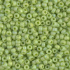 시드비즈 3mm #416FR번 - 100g(약 4000개)