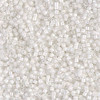Delica Beads 1.6mm (#66) - 50g