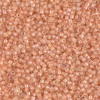 Delica Beads 1.6mm (#67) - 50g