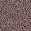 Delica Beads 1.6mm (#1061) - 50g