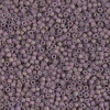 Delica Beads 1.6mm (#1064) - 50g