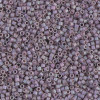 Delica Beads 1.6mm (#1065) - 50g