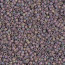 Delica Beads 1.6mm (#1067) - 50g