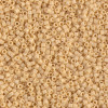 Delica Beads 1.6mm (#1131) - 50g