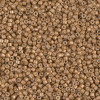 Delica Beads 1.6mm (#1163) - 50g