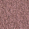 Delica Beads 1.6mm (#1166) - 50g