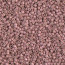 Delica Beads 1.6mm (#1166) - 50g