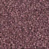 Delica Beads 1.6mm (#1167) - 50g