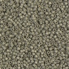 Delica Beads 1.6mm (#1170) - 50g