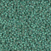 Delica Beads 1.6mm (#1171) - 50g