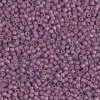 Delica Beads 1.6mm (#1173) - 50g