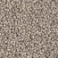 Delica Beads 1.6mm (#1176) - 50g