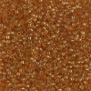 Delica Beads 1.6mm (#119) - 50g