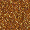 Delica Beads 1.6mm (#1201) - 50g