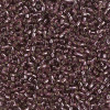 Delica Beads 1.6mm (#1204) - 50g