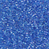 Delica Beads 1.6mm (#1250) - 50g