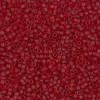 Delica Beads 1.6mm (#1262) - 50g