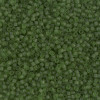 Delica Beads 1.6mm (#1267) - 50g