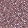 Delica Beads 1.6mm (#1434) - 50g