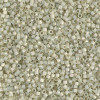 Delica Beads 1.6mm (#1453) - 50g