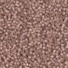 Delica Beads 1.6mm (#1459) - 50g