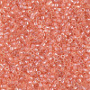 Delica Beads 1.6mm (#1480) - 50g