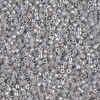 Delica Beads 1.6mm (#1538) - 50g