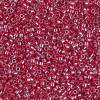 Delica Beads 1.6mm (#1564) - 50g