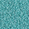 Delica Beads 1.6mm (#1567) - 50g