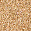 Delica Beads 1.6mm (#1571) - 50g