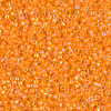 Delica Beads 1.6mm (#1573) - 50g