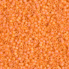 Delica Beads 1.6mm (#1593) - 50g