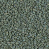 Delica Beads 1.6mm (#1594) - 50g