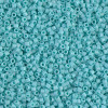 Delica Beads 1.6mm (#1595) - 50g