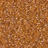 Delica Beads 1.6mm (#1702) - 50g