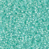 Delica Beads 1.6mm (#1707) - 50g