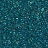 Delica Beads 1.6mm (#1764) - 50g