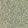 Delica Beads 1.6mm (#1765) - 50g