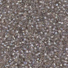 Delica Beads 1.6mm (#1772) - 50g