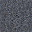 Delica Beads 1.6mm (#1774) - 50g