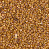 Delica Beads 1.6mm (#1778) - 50g