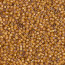 Delica Beads 1.6mm (#1778) - 50g