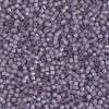 Delica Beads 1.6mm (#1789) - 50g