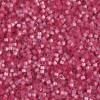 Delica Beads 1.6mm (#1807) - 50g