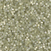 Delica Beads 1.6mm (#1815) - 50g