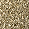 Delica Beads 1.6mm (#1831F) - 25g