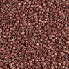 Delica Beads 1.6mm (#1842F) - 25g